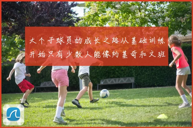 大个子球员的成长之路从基础训练开始只有少数人能像约基奇和文班那样成功